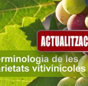 varietats vitivinícoles